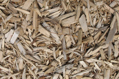 biomass boilers Dinlabyre